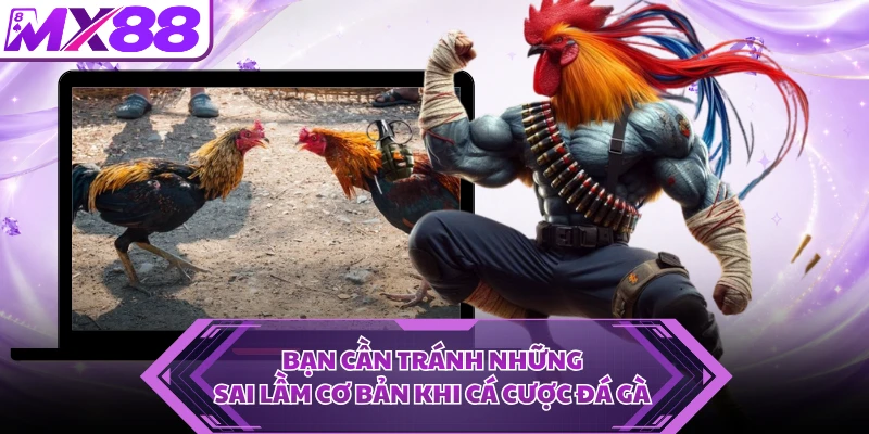Bạn cần tránh những sai lầm cơ bản khi cá cược đá gà