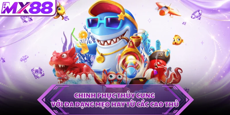 Chinh phục thủy cung với đa dạng mẹo hay từ các cao thủ