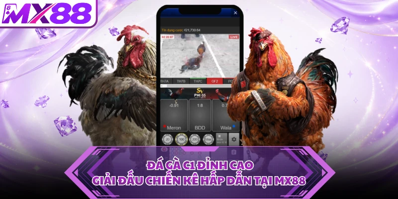 Đá Gà C1 Đỉnh Cao - Giải Đấu Chiến Kê Hấp Dẫn Tại MX88